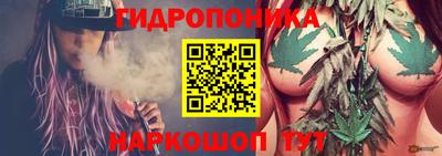 мдпв Ливны