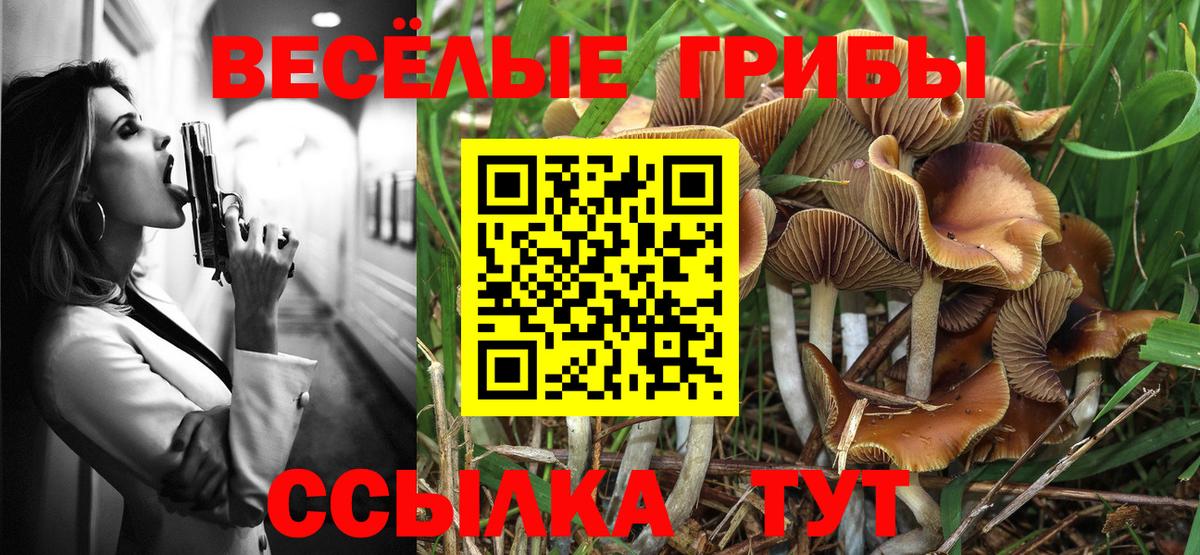 Галлюциногенные грибы ЛСД Ялуторовск